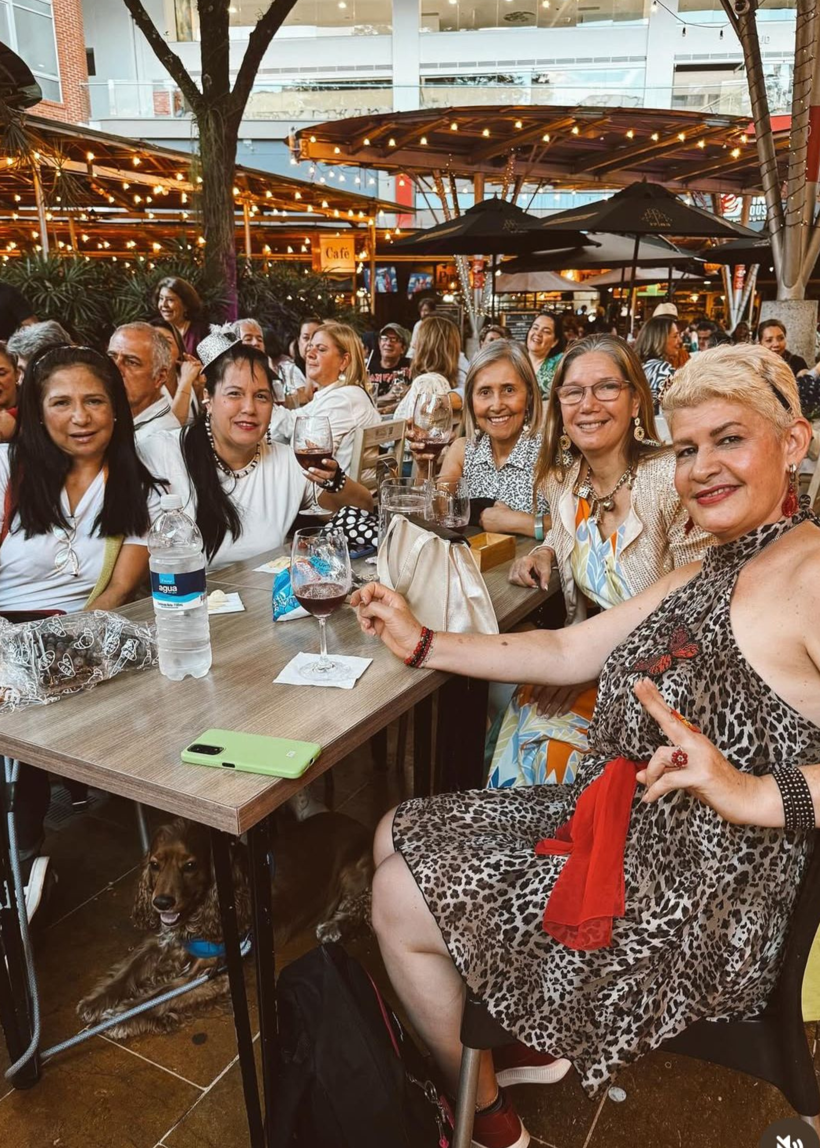 Tardes de Sao Paulo (3)